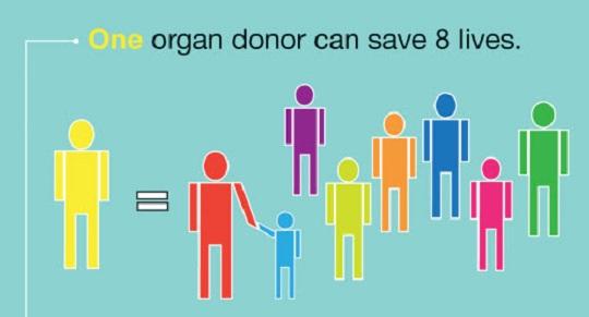 Παγκόσμια ημέρα δωρεάς οργάνων σώματος & Μεταμοσχεύσεων